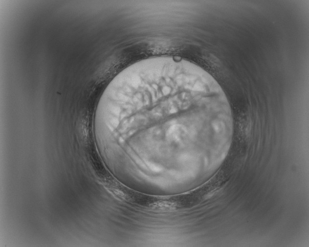 X0000063470691200602101741