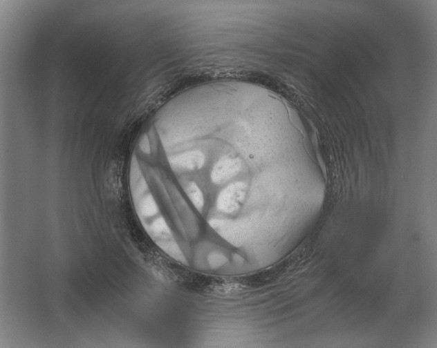 X0000063470695200602101741