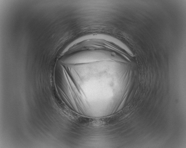 X0000063470696200602101741