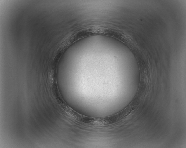 X0000063470697200602101741