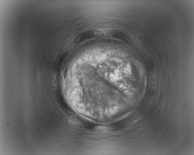 X0000063470699200602101741