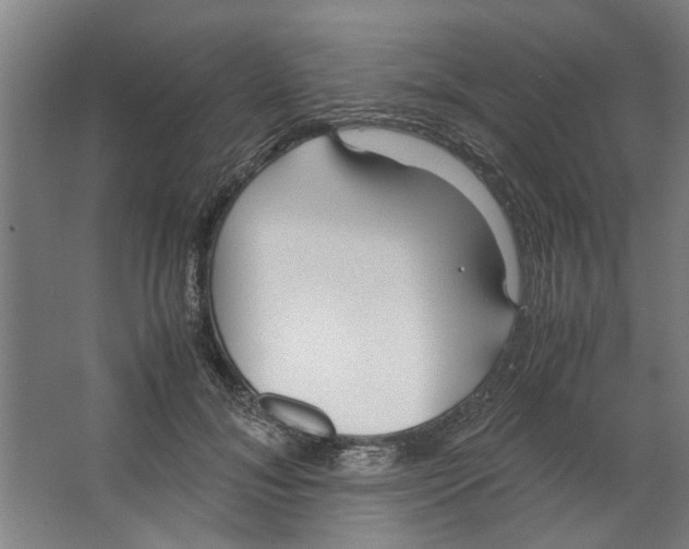 X0000063470700200602101741