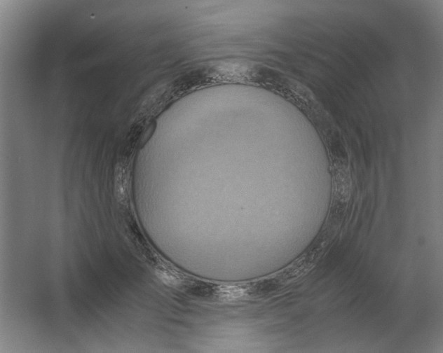 X0000063470701200602101741