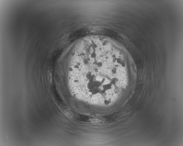 X0000063470703200602101741