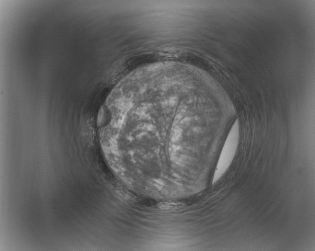 X0000063470707200602101740