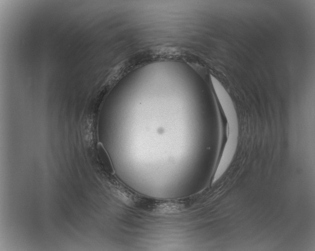 X0000063470708200602101740