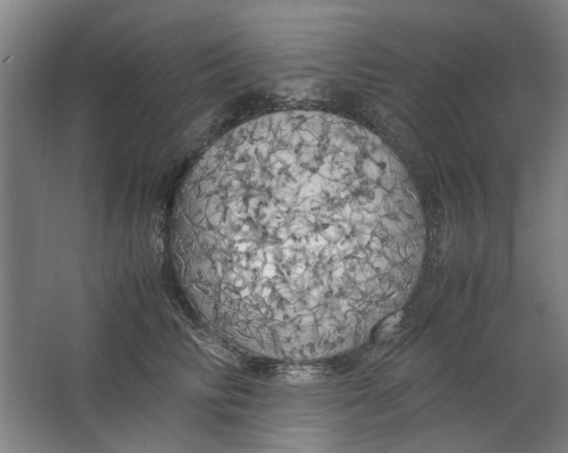 X0000063470710200602101740