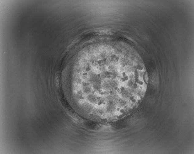 X0000063470715200602101740