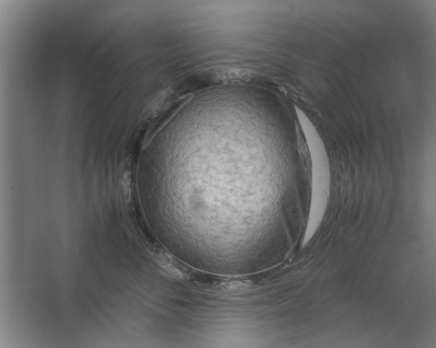 X0000063470716200602101740