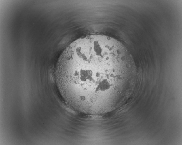 X0000063470719200602101740