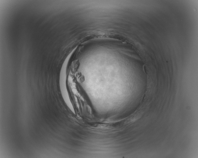 X0000063470720200602101740