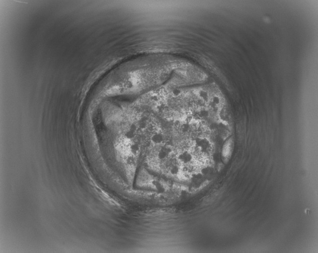 X0000063470721200602101739