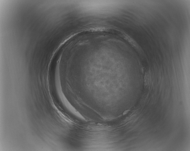 X0000063470722200602101739