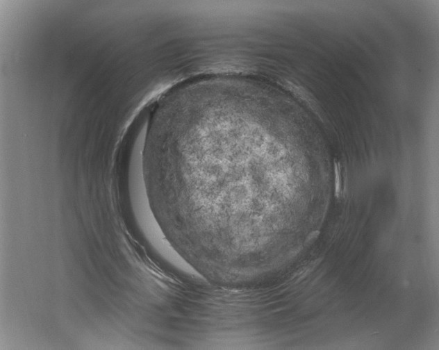 X0000063470723200602101739