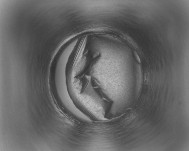 X0000063470724200602101739