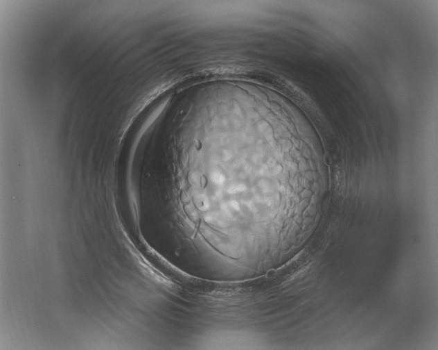 X0000063470725200602101739