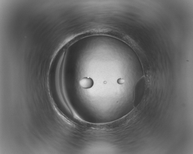 X0000063470726200602101740