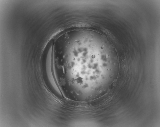 X0000063470727200602101740