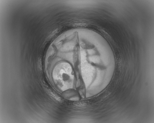 X0000063470729200602101740