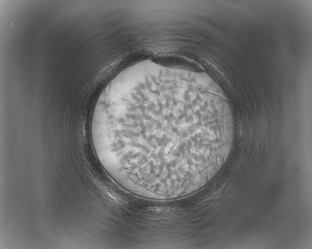 X0000063470733200602101740