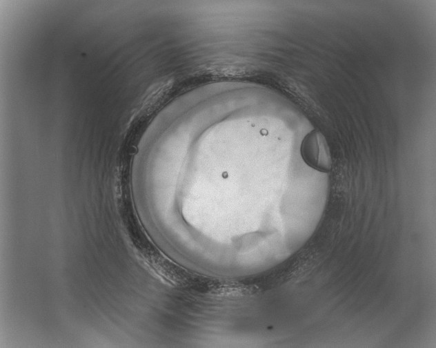 X0000063470738200602101740