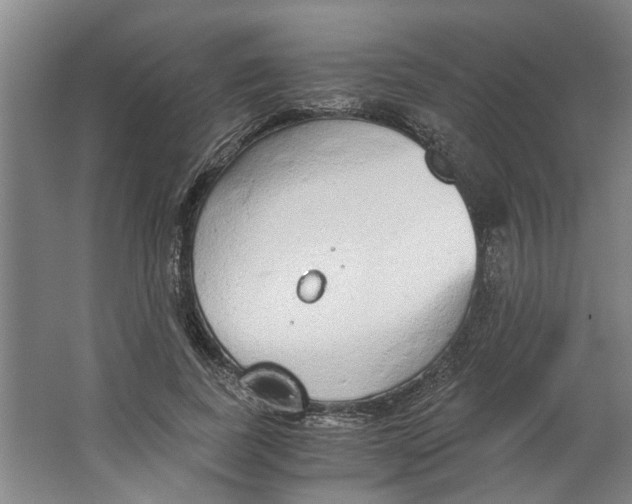 X0000063470739200602101740