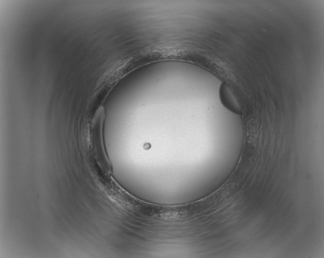 X0000063470740200602101740