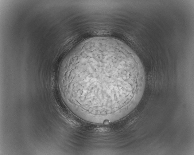 X0000063470741200602101740