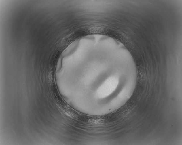 X0000063470745200602101740