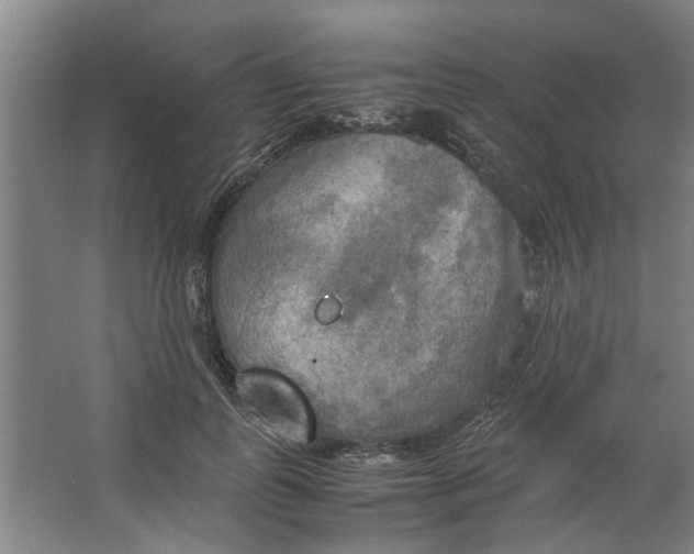 X0000063470747200602101740