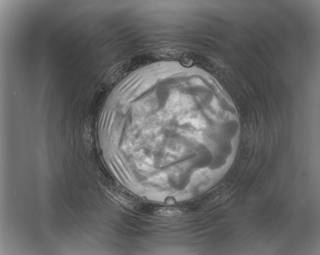 X0000063470749200602101740