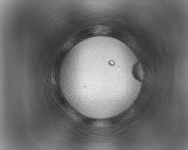 X0000063470755200602101740