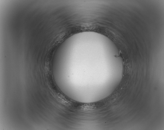 X0000063470756200602101740