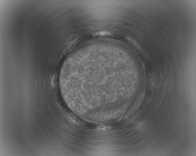 X0000063470760200602101740