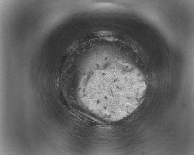 X0000063470763200602101740