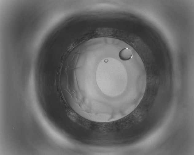 X0000063470765200602101740