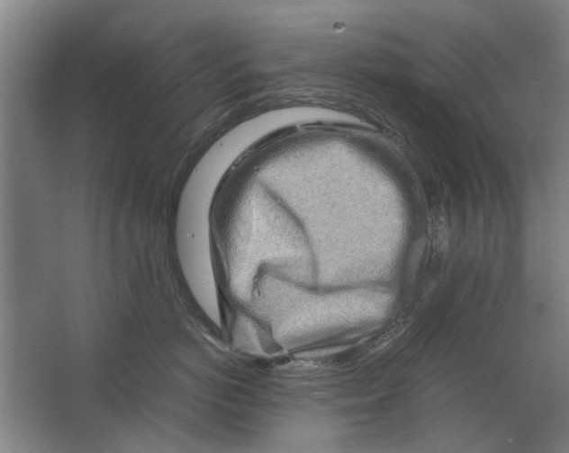 X0000063470766200602101740