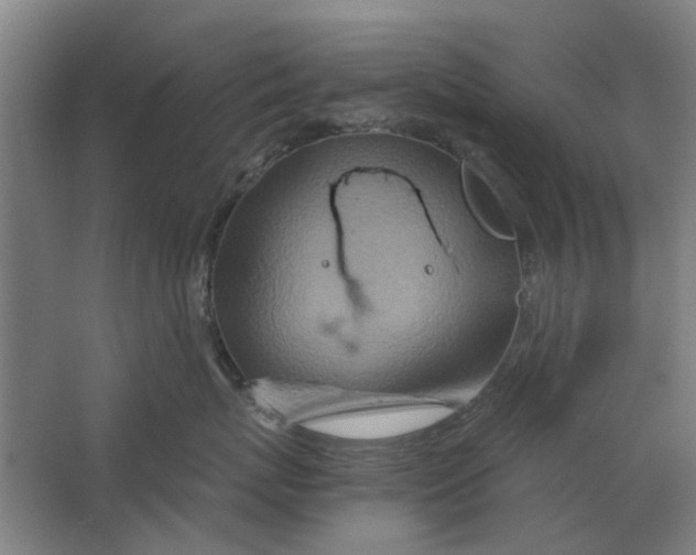 X0000063470767200602101740