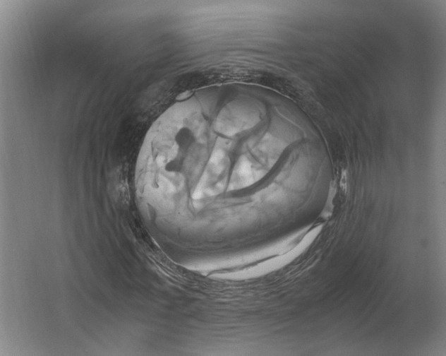 X0000063470771200602101739