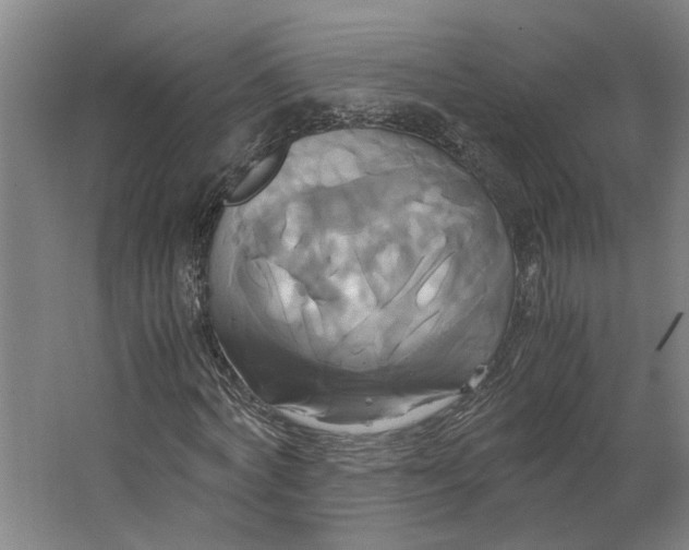 X0000063470772200602101739