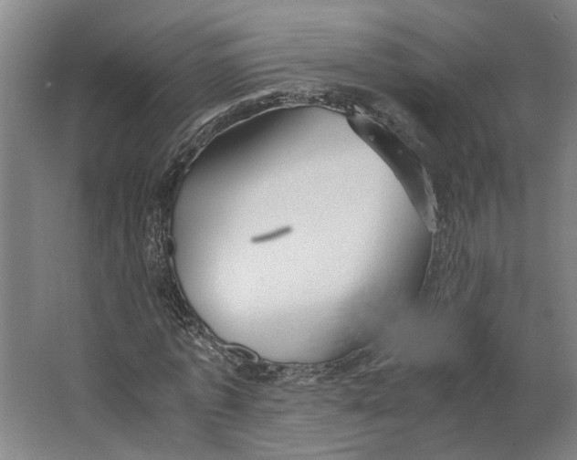 X0000063470773200602101739