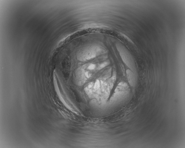 X0000063470775200602101739