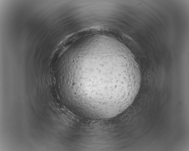 X0000063470776200602101739