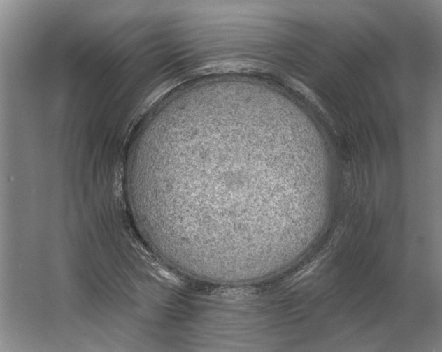 X0000063470778200602101739