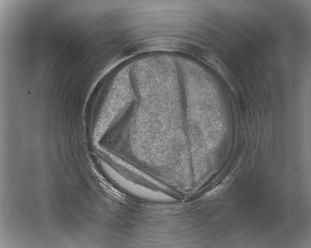 X0000063470779200602101739