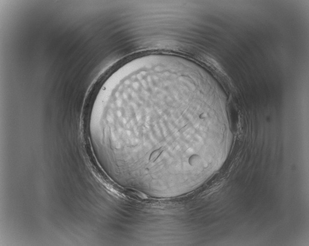 X0000063470780200602101739