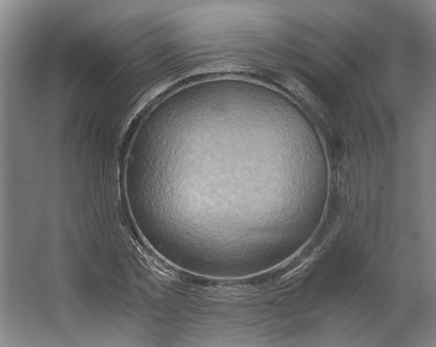 X0000063470781200602101739