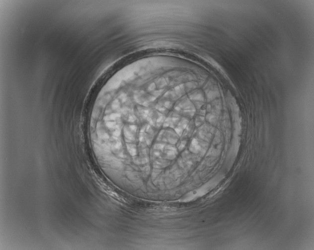 X0000063470783200602101739