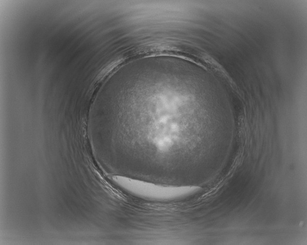 X0000063470785200602101739