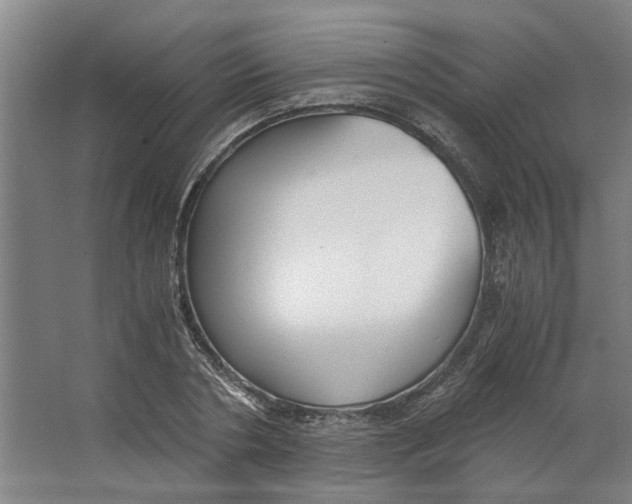 X0000063470786200602101739